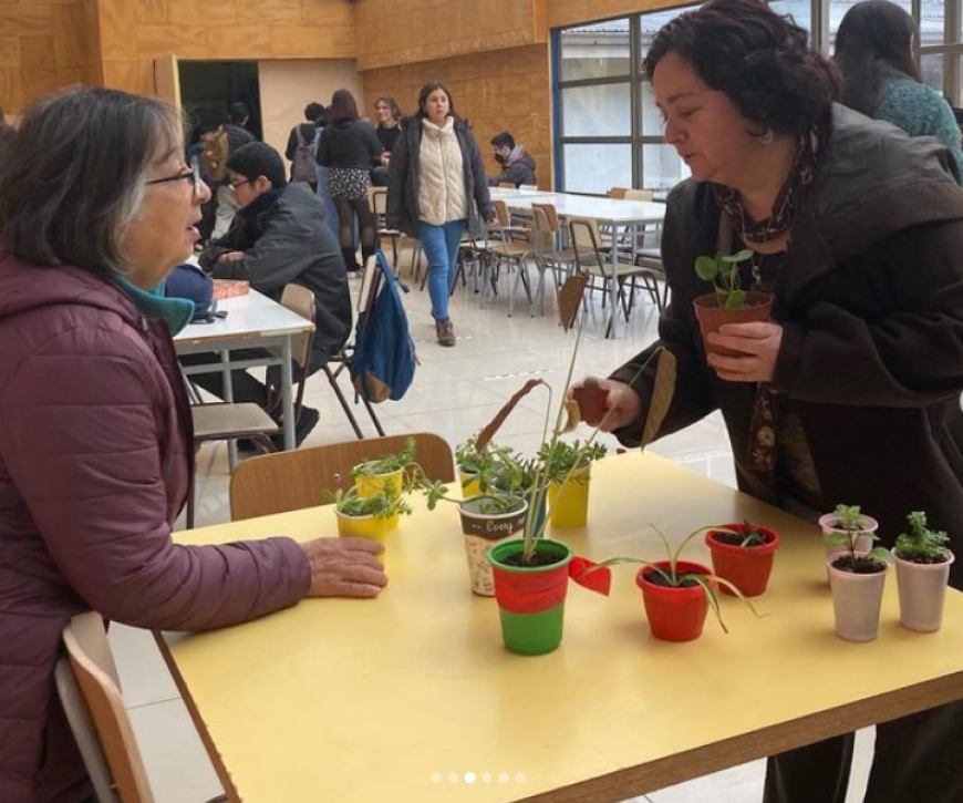 Feria del Trueque de Plantas y Semillas